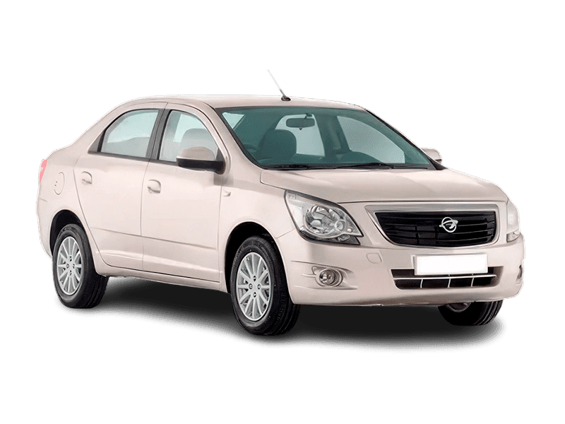 Купить Ravon R4 в вашем городе - Бело-дымчатый